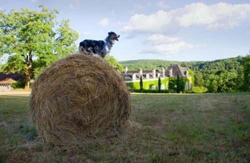 Cubjac House | La Chartreuse du Maine