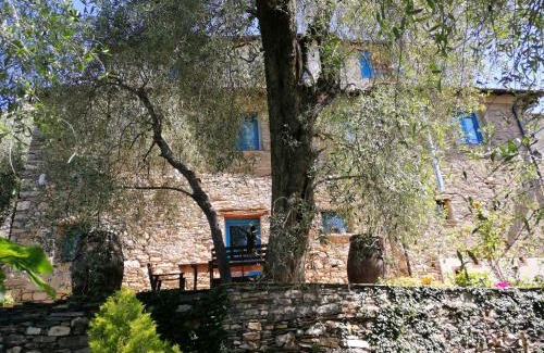 Nirasca Bed & Breakfast | La Chouette