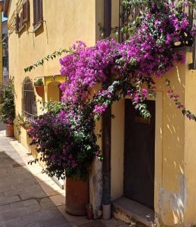 Rosignano Marittimo Apartment | La cicala