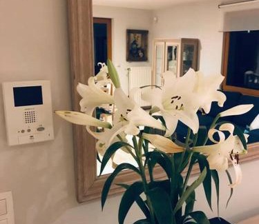 Tervuren Apartment | La Clé de la Forêt