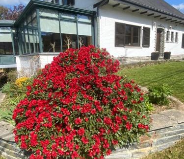 La Roche-en-Ardenne Villa | La colline aux hirondelles