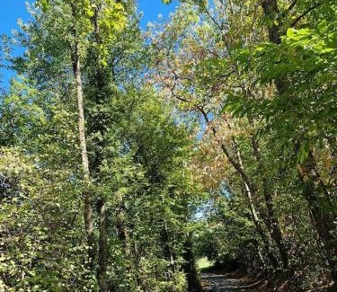 Publier Apartment | La Colonie