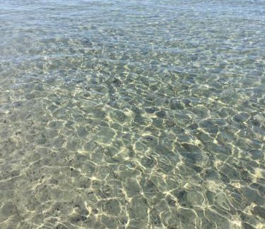 Vada Apartment | La Conchiglia sul Mare