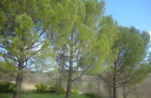 Apt House | La Croix du Sud - Ocres en Provence