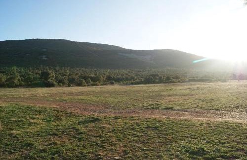 Los Yebenes House | La Dehesa Boyal