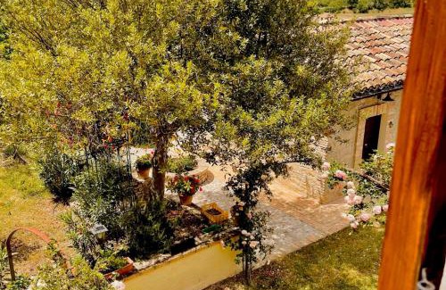 Cugnoli House | La Fattoria di Maria Donata