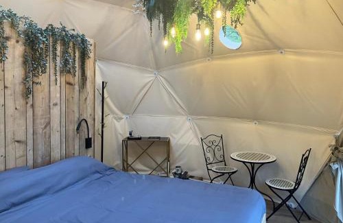 Willems Bed & Breakfast | La Ferme 1851 - Cabane Spa Nordique privé vue sur champ