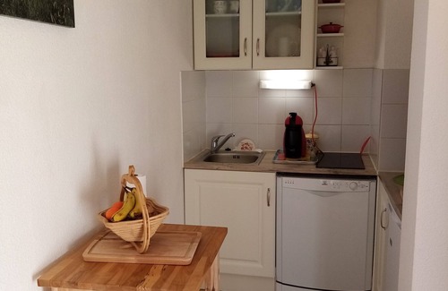 Allos Apartment | La Foux d allos - at the foot of the slopes-