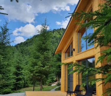 Bistrita Bargaului Ski Chalet | La hambare