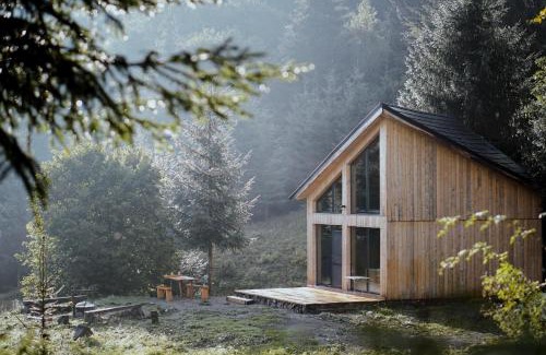 Bistrita Bargaului Ski Chalet | La hambare