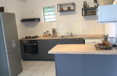 La Riviere Saint-Louis Apartment | La kaz des Barbots