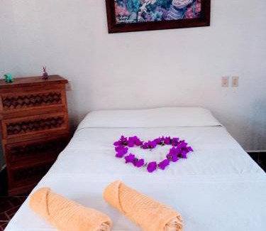 Santiago Tlazoyaltepec Apartment | La lagartija