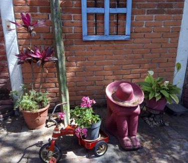 Santiago Tlazoyaltepec Apartment | La lagartija