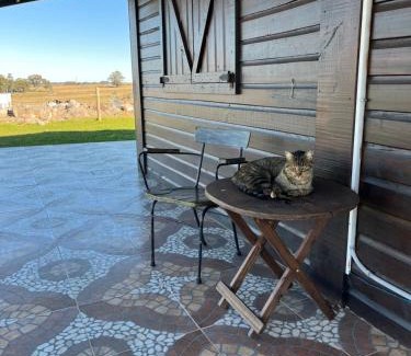 Soriano House | La lulita