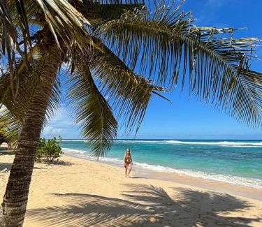 Anse-Bertrand House | La Maison Créole du Flamboyant - Proche des Plages
