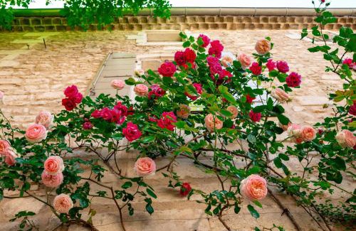 St.-Remy-de-Provence House | La Maison du Village