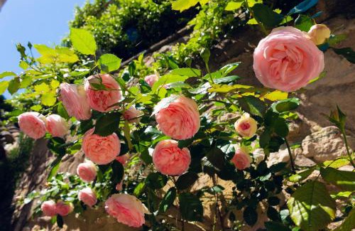 St.-Remy-de-Provence House | La Maison du Village