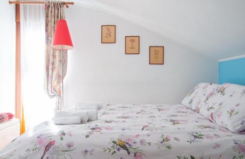 Roiano-Gretta-Barcola-Cologna-Scorcola Bed & Breakfast | La mansarda delle meraviglie B&B Superior