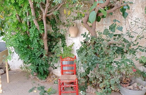 Alhama de Granada House | La Palmera