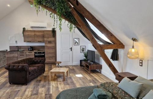 Veuzain-sur-Loire Apartment | La parenthèse-Logement cosy et Luxueux