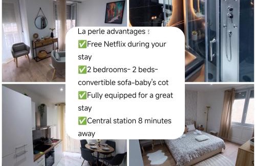 Mulhouse Apartment | La Perle F3 Moderne et Cosy Centre ville Netflix