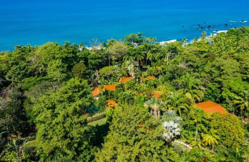 Pavones Resort | La Ponderosa