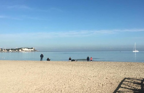 Addaura Apartment | La Scalinatella di Mondello