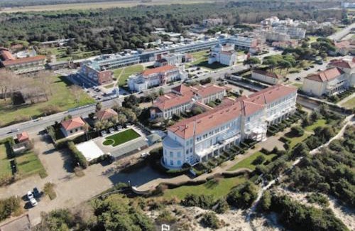 Calambrone Apartment | La Suite del Mare
