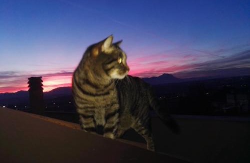 Chieti Scalo Apartment | La terrazza di Maja