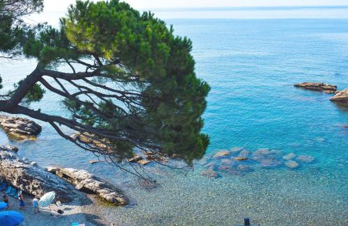 Zoagli Apartment | La Terrazza sul Mare