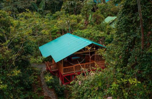 La Tigra Cabin | La Tigra Rainforest Lodge