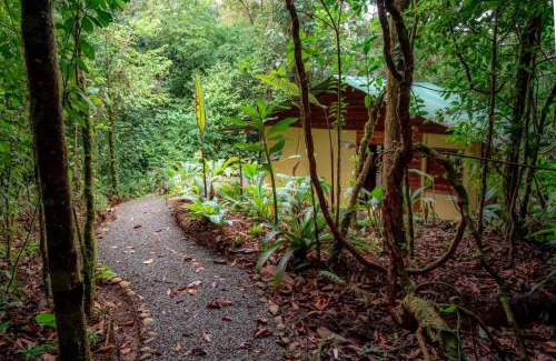 La Tigra Cabin | La Tigra Rainforest Lodge