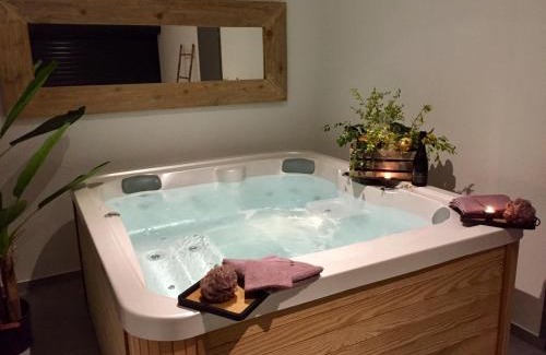 Saint-Martin-de-Crau Villa | La villa Crau Alpilles Camargue