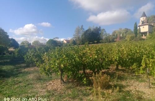 Labastide-de-Levis Apartment | La villa