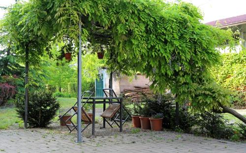 Cherasco House | La Volpe E L'uva