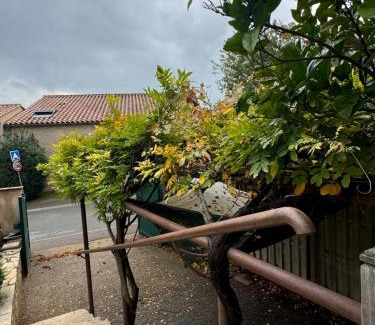 Bages House | la vue des étangs