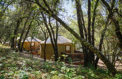 Oregon House Resort | Lake of the Springs Camping Resort Yurt 6