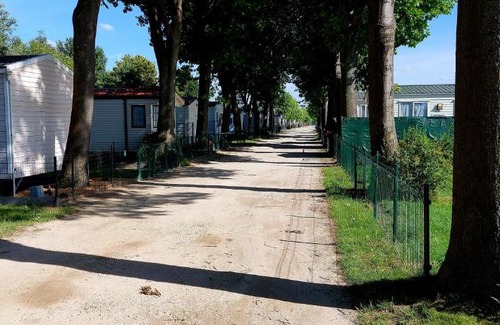 Overmere Other | Lake Park