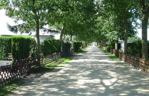 Overmere Other | Lake Park