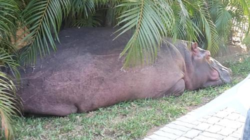 St. Lucia House | Lake St Lucia Lodge