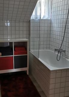 Millstatt Apartment | Lake View