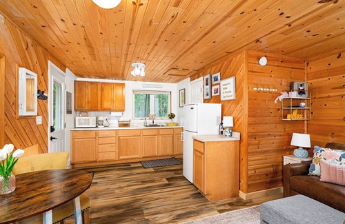 Duluth Cabin | Lakefront Cabin on Island Lake