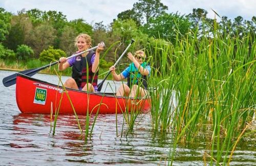 Bastrop House | Lakeside ÖÖD Mirror Cabin #1 - Nature Getaway