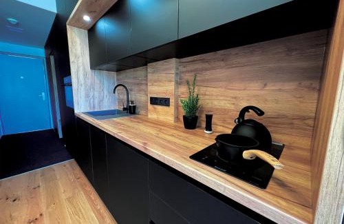 Cerna V Posumavi Apartment | Lakeside Apartmán 111 Lipno