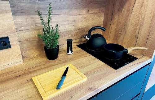 Cerna V Posumavi Apartment | Lakeside Apartmán 111 Lipno