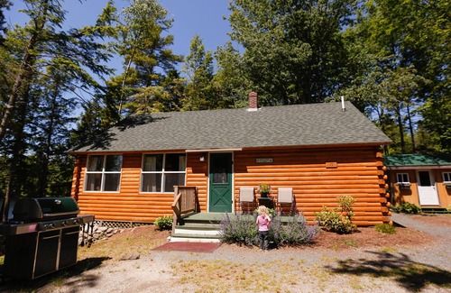 Ellsworth Cabin | Lakeside Pine Cone Cabin 30' private beach & dock, Fireplace , Kayaks, Canoe