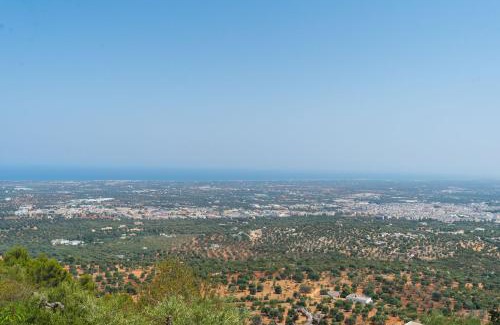 Selva di Fasano House | LaMia Bellavista