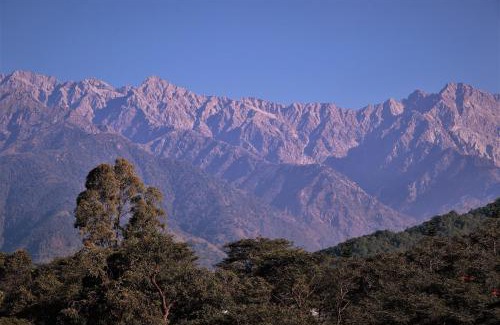 Palampur Villa | Lamrin Norwood Green Palampur, Himachal Pradesh