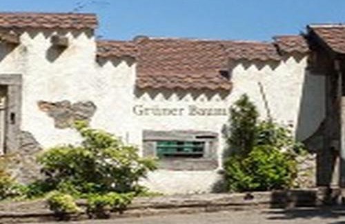 Simonswald Hotel | Landgasthaus Grüner Baum