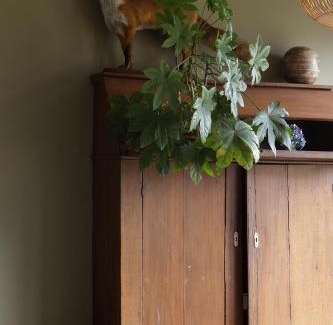 Eext Hotel | Landhuis Hotel Rikus